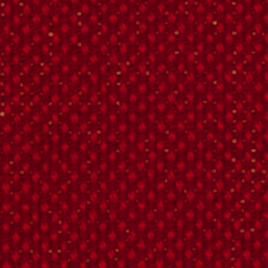 チップ画像