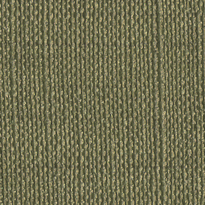 チップ画像
