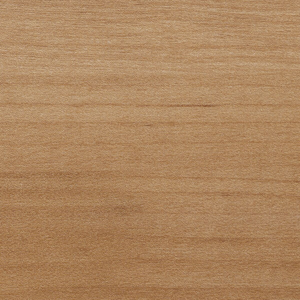 チップ画像