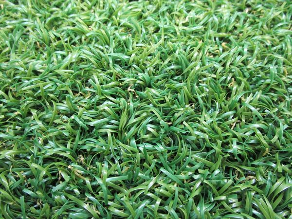 猛禽類ようパーチ 人工芝付き L字型 できる