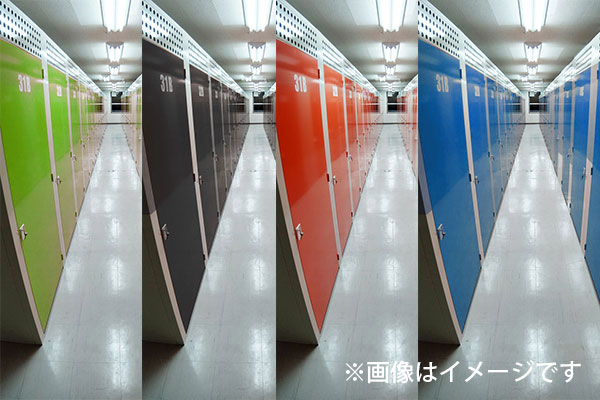 自由なカラーバリエーション