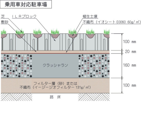 断面画像