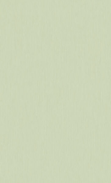 製品画像