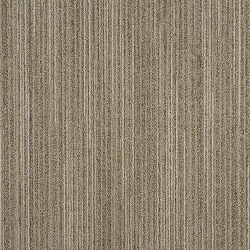 製品画像