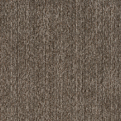製品1枚画像