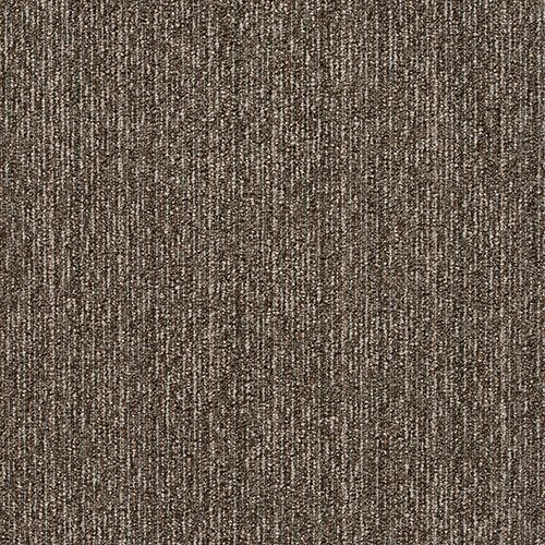 製品1枚画像