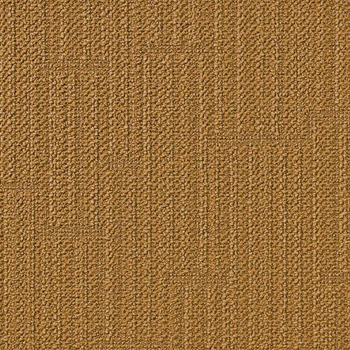 製品画像