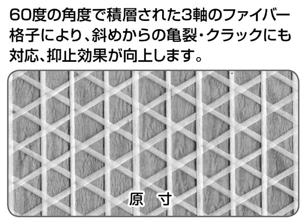 原寸