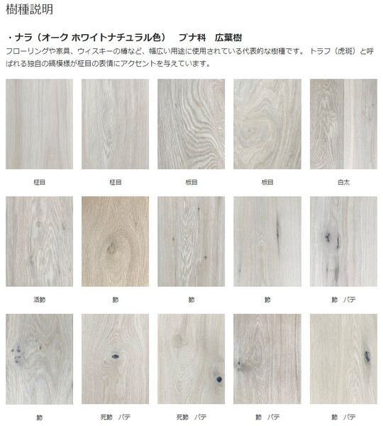 樹種紹介