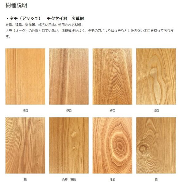 樹種紹介