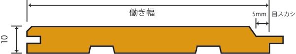 断面イメージ