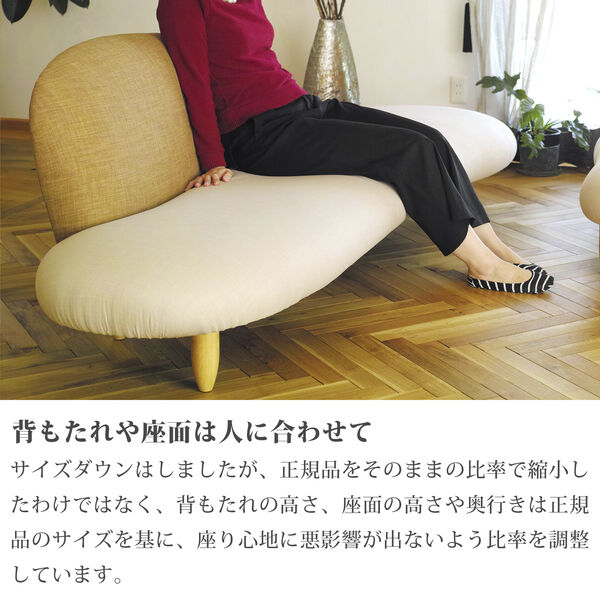 製品画像