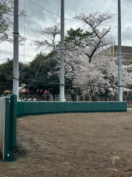 壁式ガードクッション