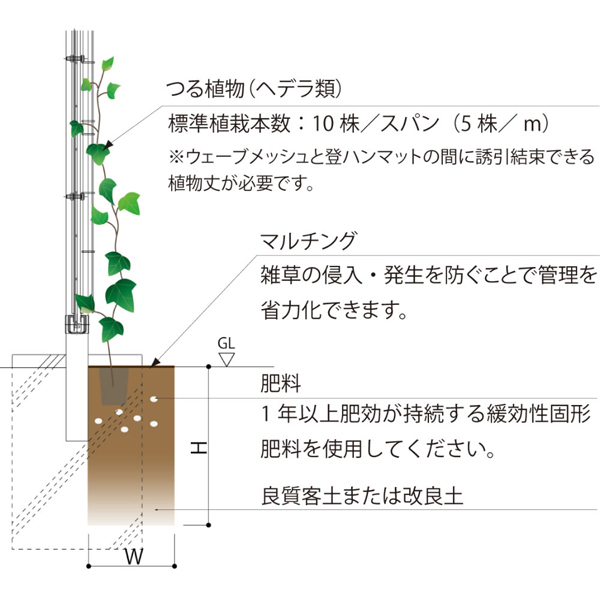 植栽断面図