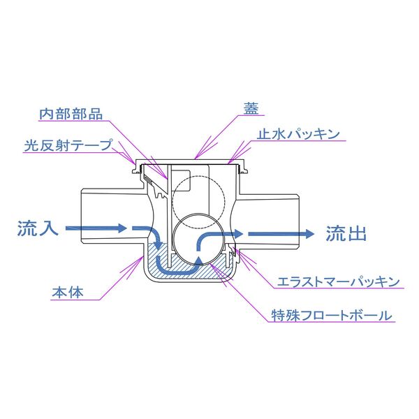 構造及び断面図
